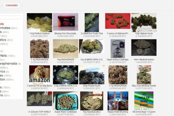 darknet drug links