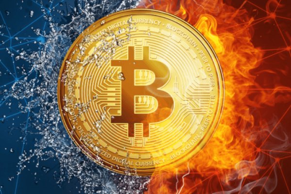 nexus market link